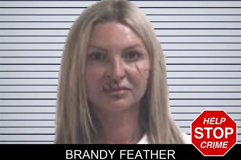 Brandy Feather mugshot