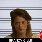 Brandy Gillis mugshot