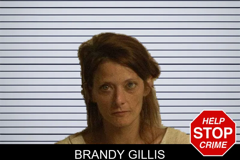 Brandy Gillis mugshot