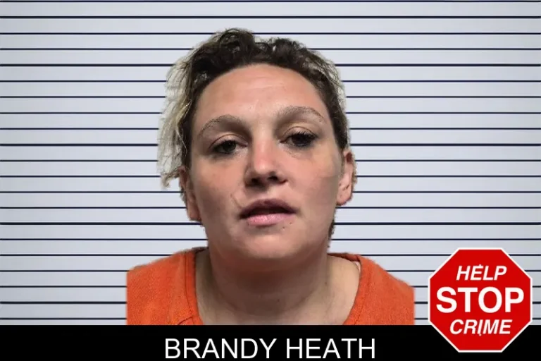 Brandy Heath mugshot – Dade County , Georgia Brandy Heath