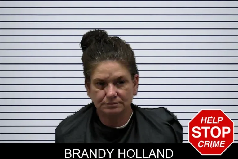 Brandy Holland