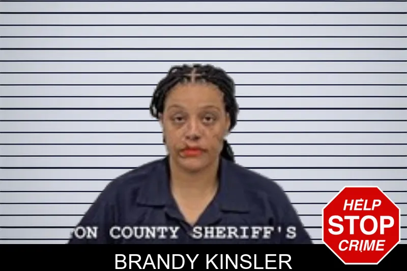 Brandy Kinsler mugshot
