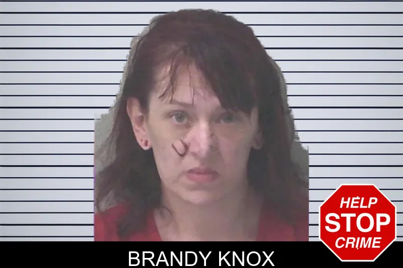 Brandy Knox mugshot
