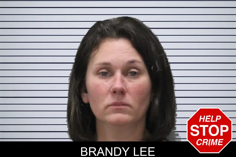 Brandy Lee mugshot