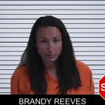 Brandy Reeves mugshot – Fannin County , Georgia Brandy Reeves mugshot
