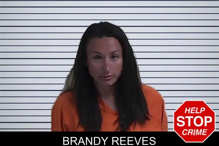Brandy Reeves mugshot – Fannin County , Georgia Brandy Reeves