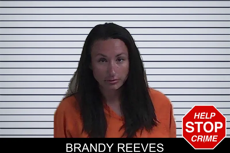 Brandy Reeves mugshot – Fannin County , Georgia Brandy Reeves mugshot