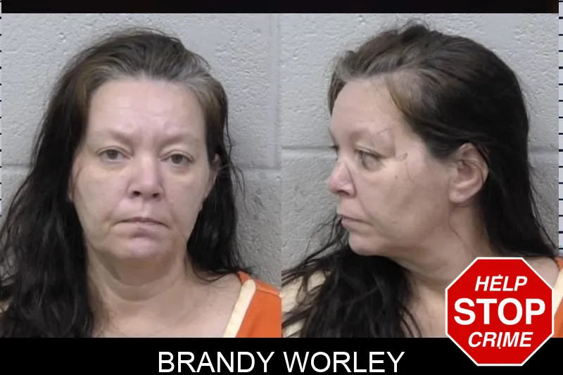 Brandy Worley mugshot