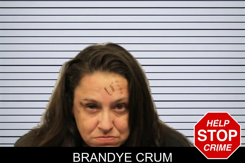 Brandye Crum mugshot