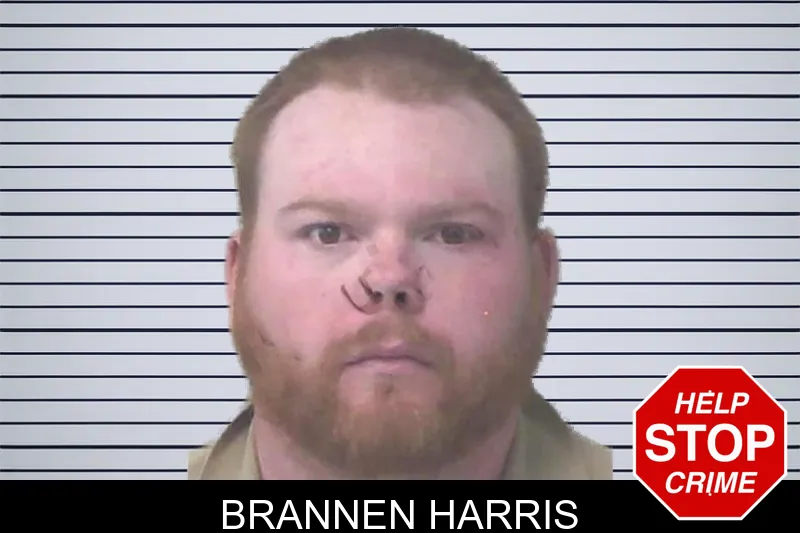 Brannen Harris mugshot – Newton County , Georgia Brannen Harris mugshot