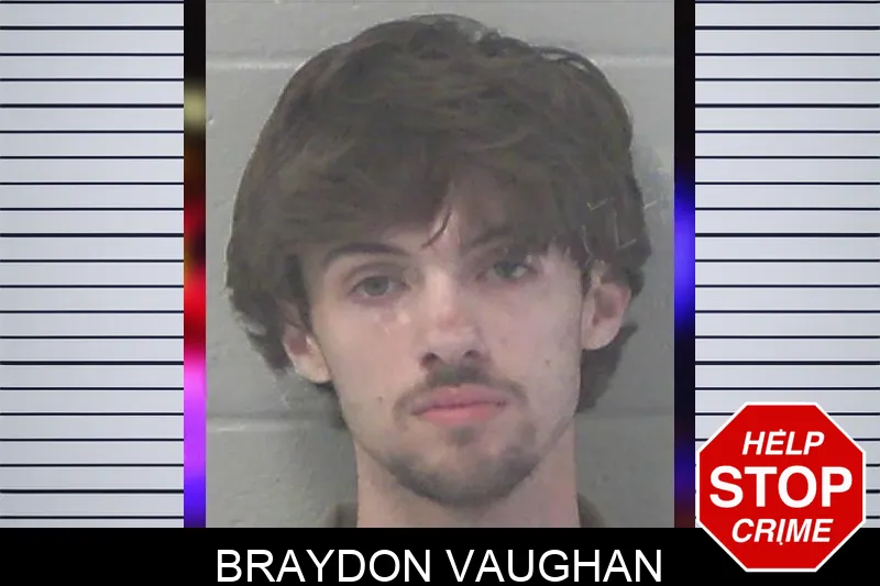 Braydon Vaughan mugshot
