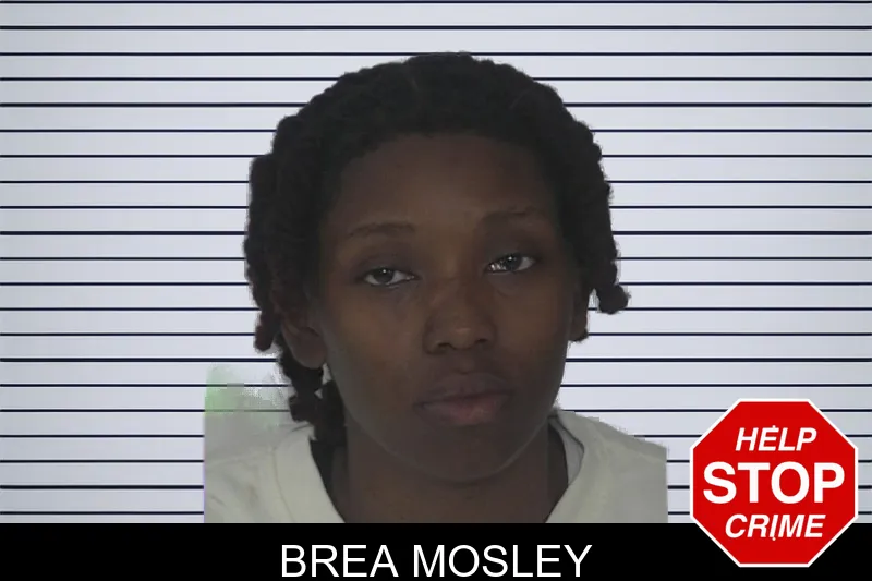 Brea Mosley mugshot