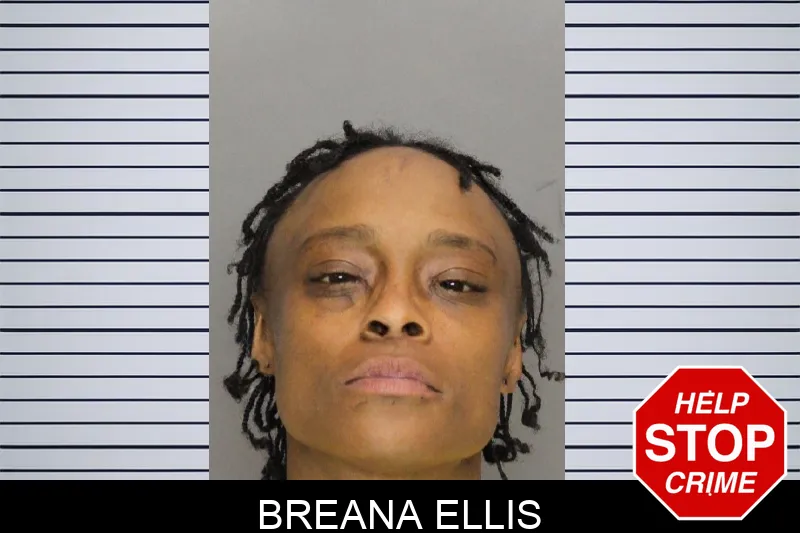 Breana Ellis mugshot