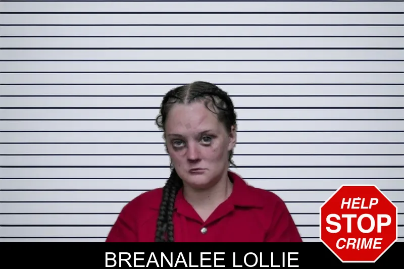 Breanalee Lollie mugshot – Ben Hill County , Georgia Breanalee Lollie mugshot
