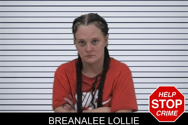 Breanalee Lollie mugshot