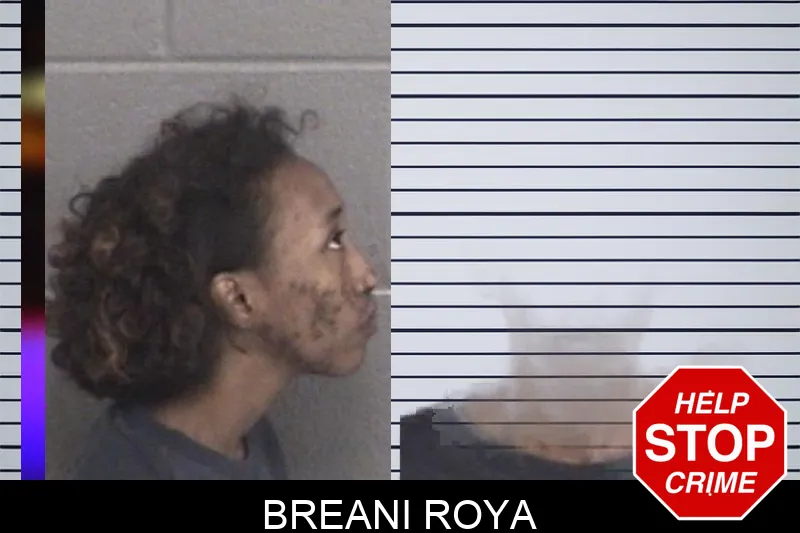 Breani Roya mugshot – Barrow County , Georgia Breani Roya mugshot