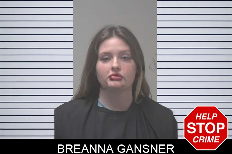 Breanna Gansner mugshot