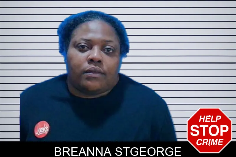 Breanna Stgeorge mugshot