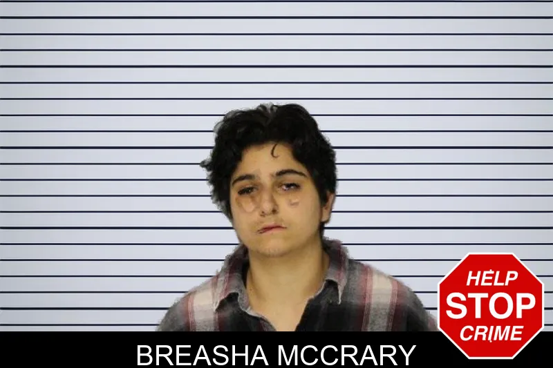 Breasha McCrary mugshot – Hall County , Georgia Breasha McCrary mugshot