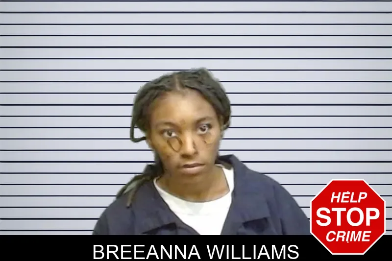 Breeanna Williams mugshot