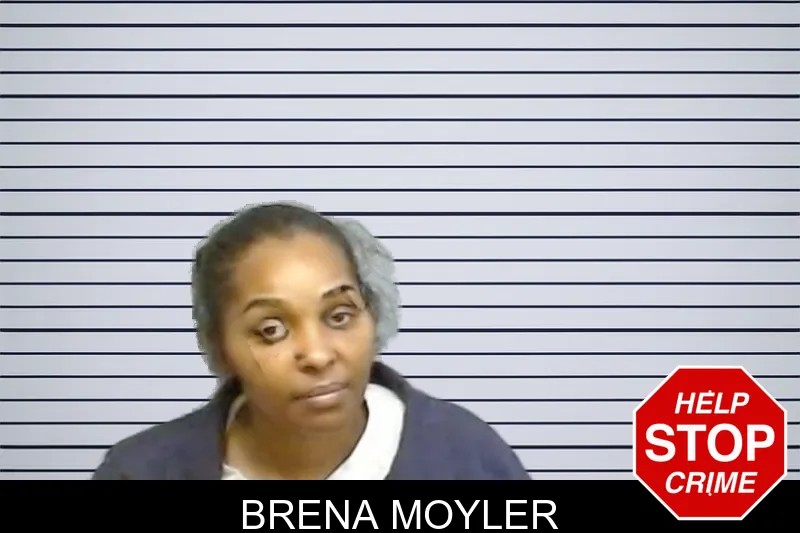 Brena Moyler mugshot – Fulton County , Georgia Brena Moyler mugshot