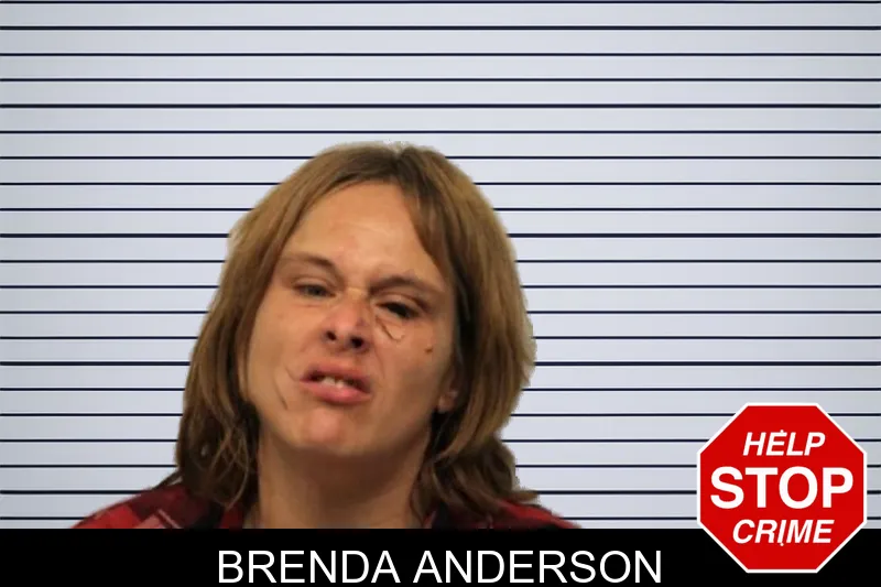 Brenda Anderson mugshot