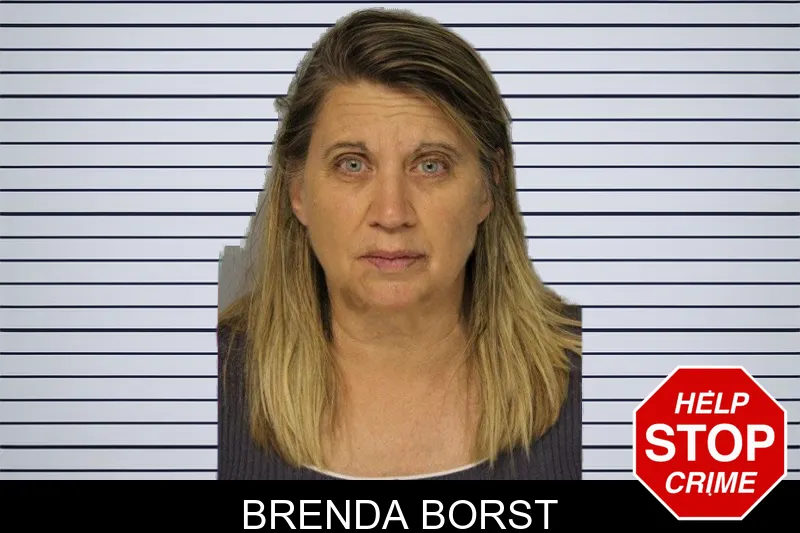 Brenda Borst mugshot