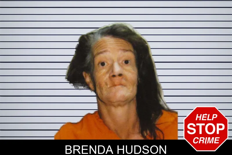 Brenda Hudson mugshot
