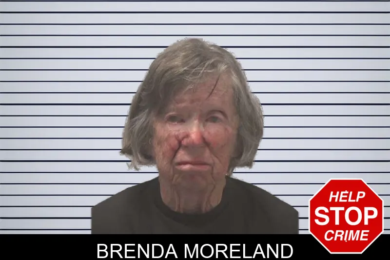 Brenda Moreland mugshot