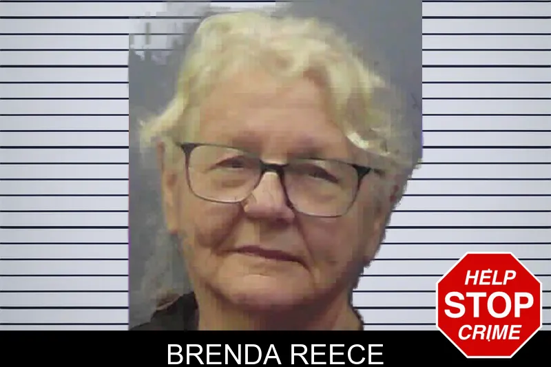 Brenda Reece mugshot