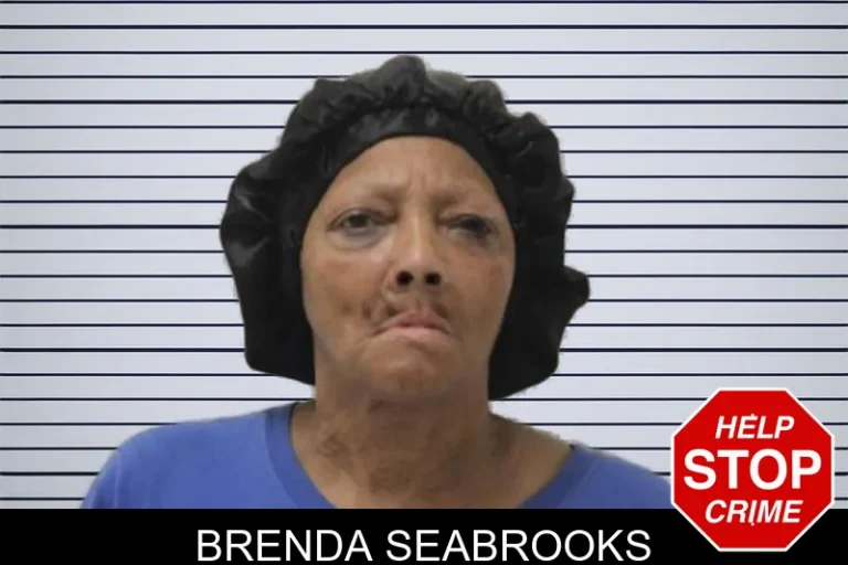 Brenda Seabrooks mugshot – Fayette County , Georgia Brenda Seabrooks