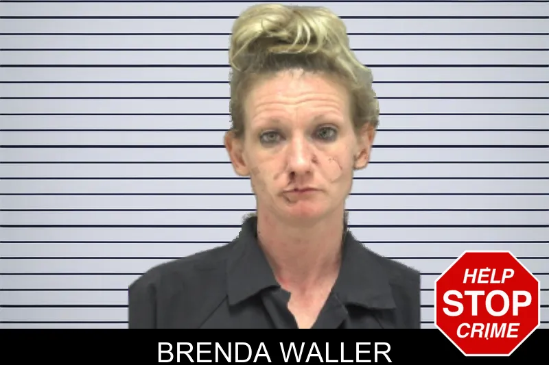 Brenda Waller mugshot