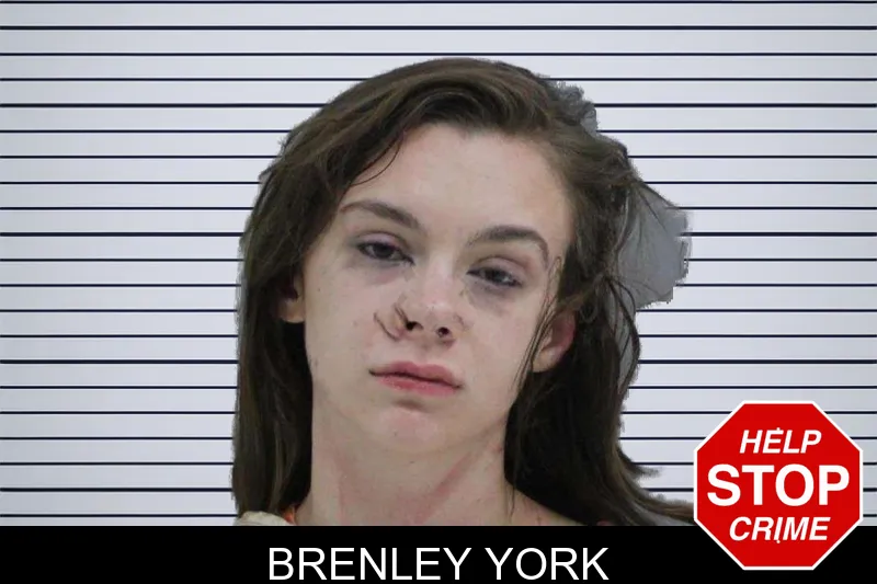 Brenley York mugshot