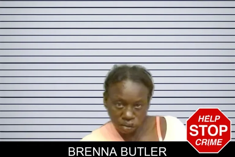 Brenna Butler mugshot – Fulton County , Georgia Brenna Butler