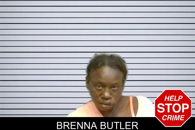 Brenna Butler mugshot – Fulton County , Georgia Brenna Butler mugshot