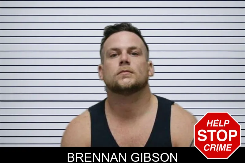 Brennan Gibson mugshot