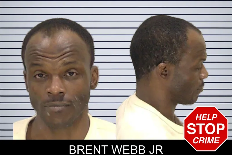 Brent Webb Jr mugshot