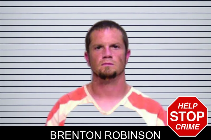 Brenton Robinson mugshot – Bartow County , Georgia Brenton Robinson mugshot