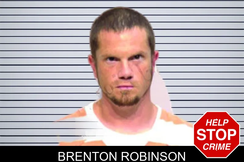 Brenton Robinson mugshot