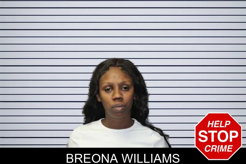 Breona Williams mugshot