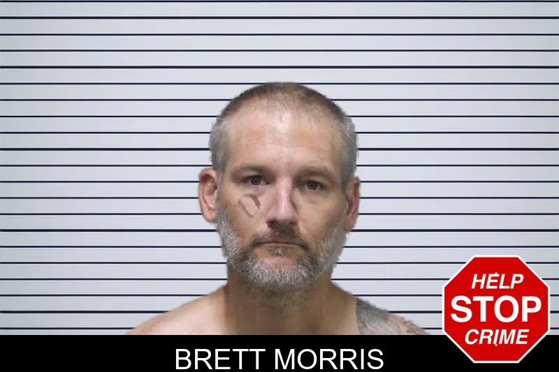 Brett Morris mugshot – White County , Georgia Brett Morris mugshot