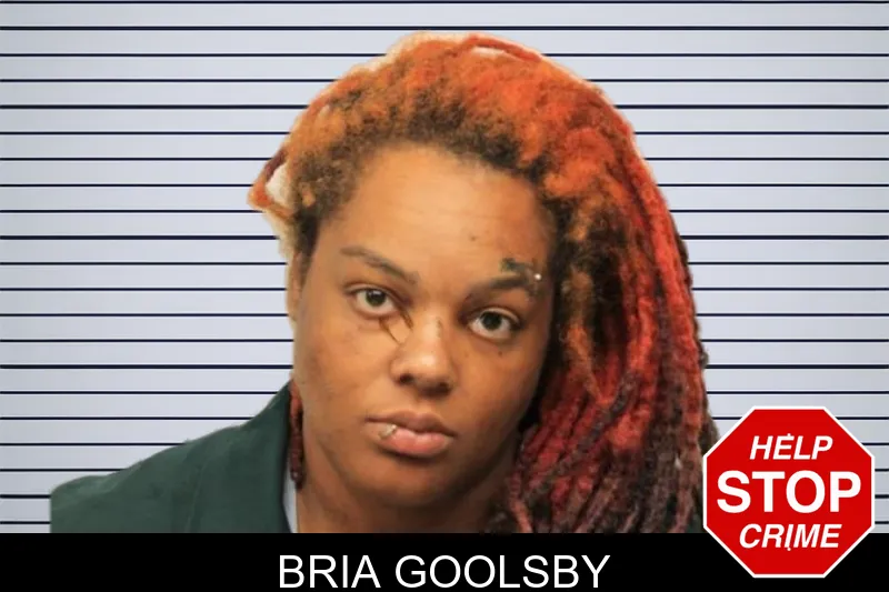 Bria Goolsby mugshot – Chatham County , Georgia Bria Goolsby mugshot