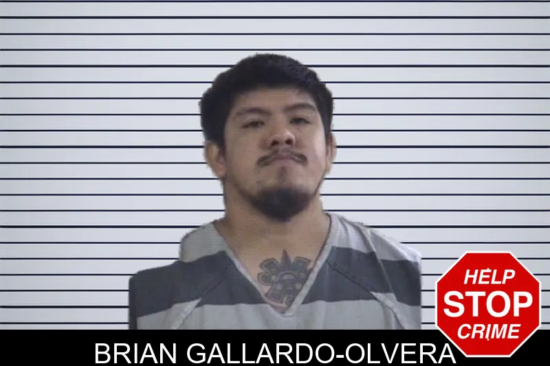 Brian Gallardo-Olvera mugshot