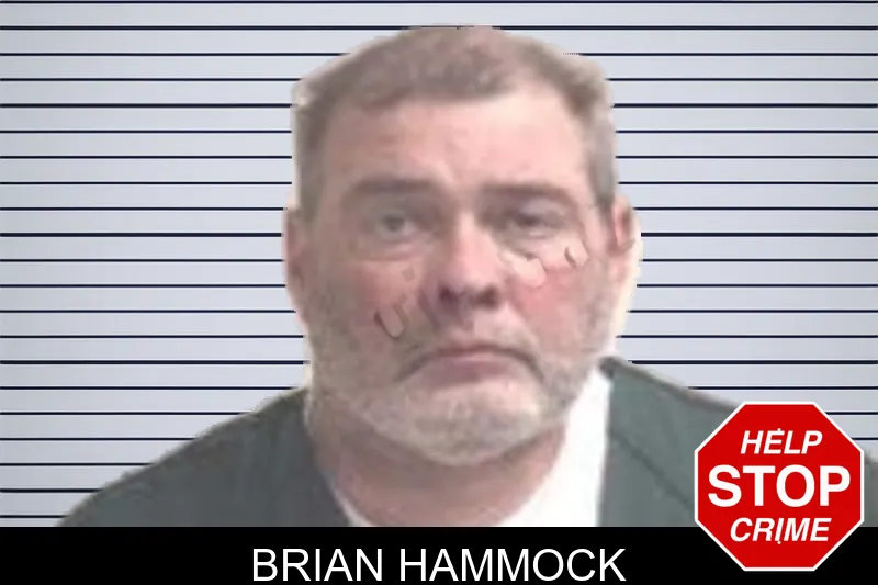 Brian Hammock mugshot – Henry County , Georgia Brian Hammock mugshot