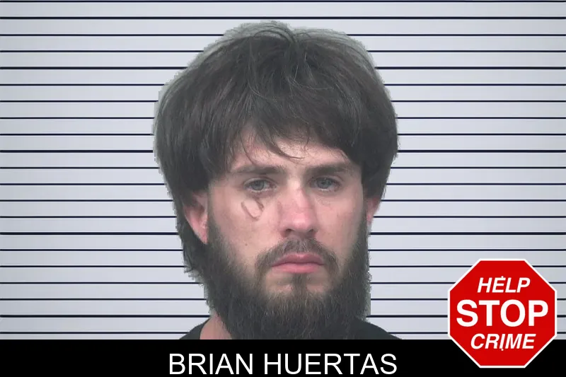 Brian Huertas mugshot