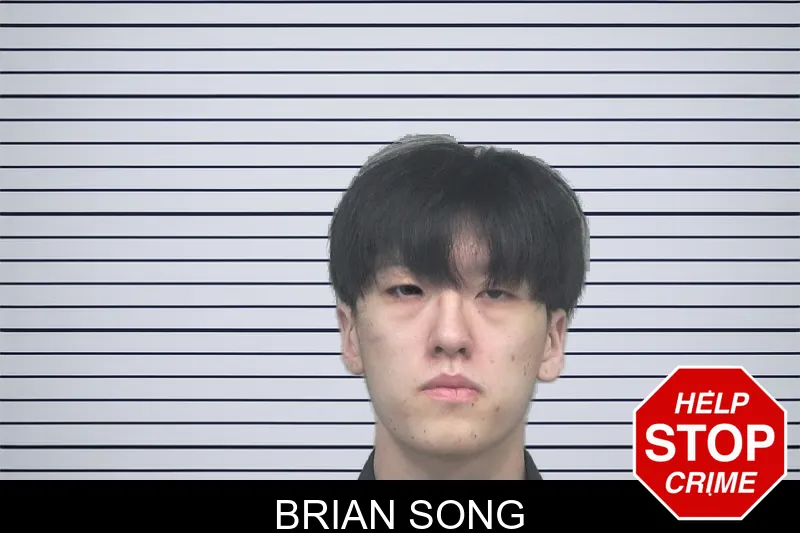 Brian Song mugshot