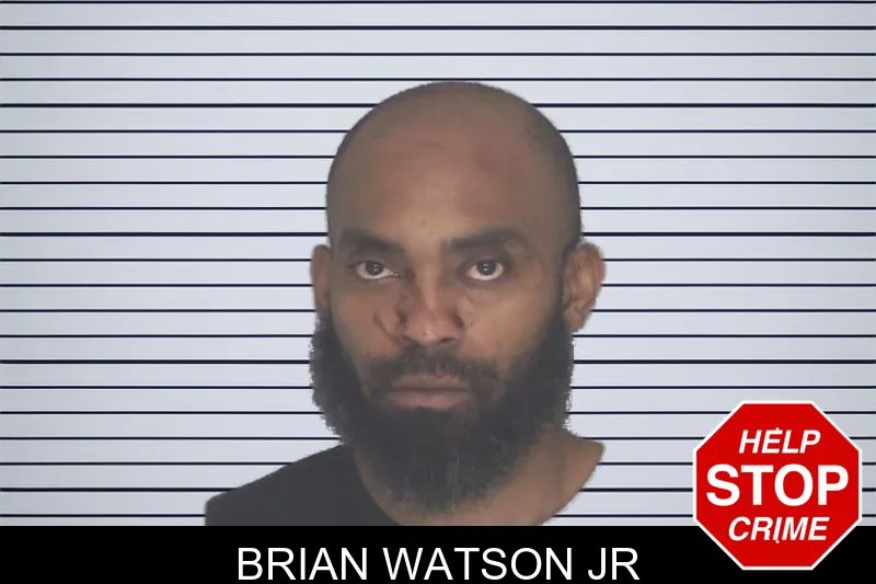 Brian Watson Jr mugshot