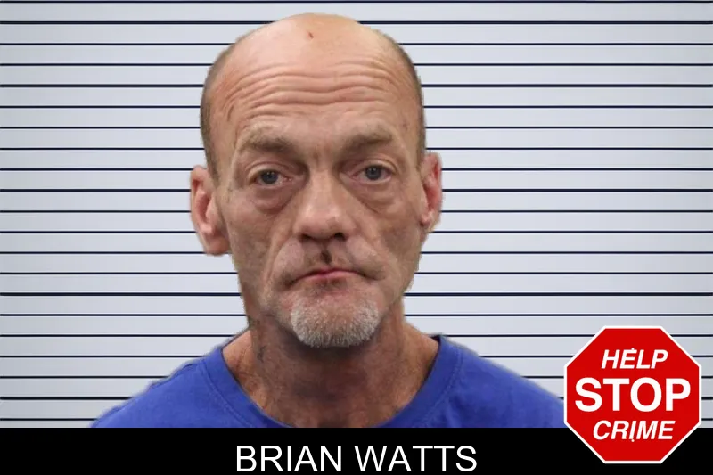 Brian Watts mugshot