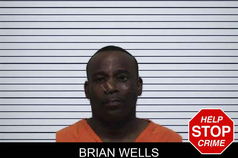 Brian Wells mugshot