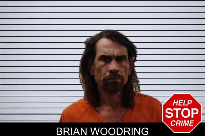 Brian Woodring mugshot